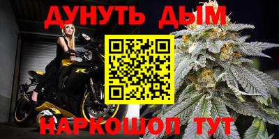 прущие грибы Краснодар