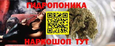 прущие грибы Краснодар